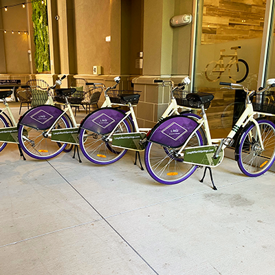 Linq - Bike Decals