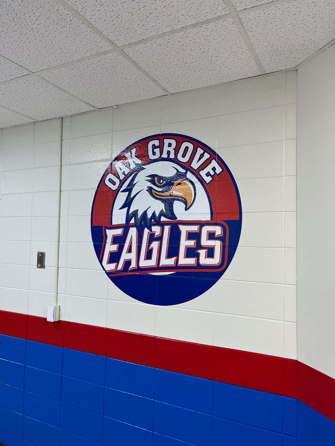 Logo Wall Graphics on Concrete Block Wall - School
